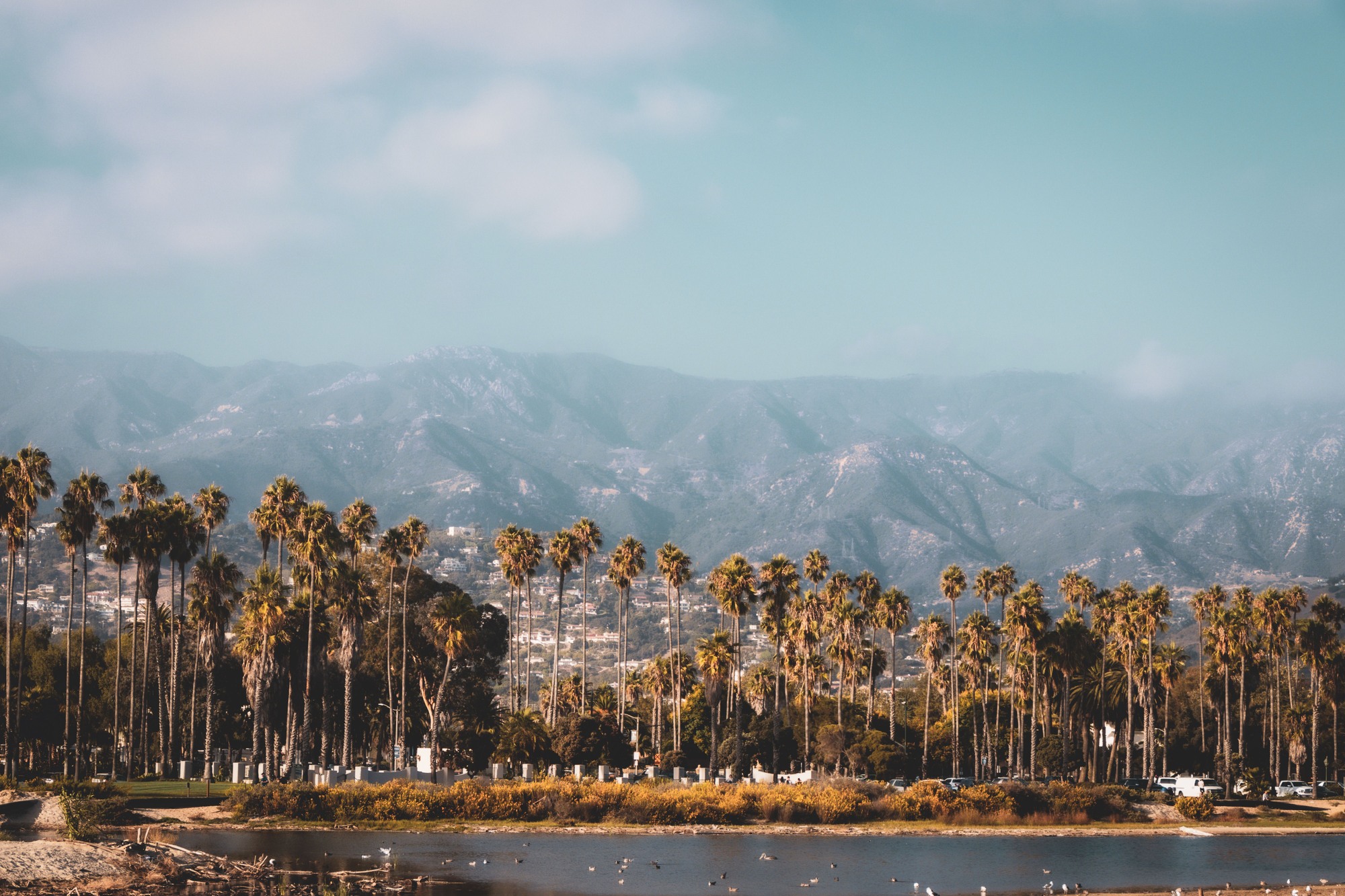 Montecito Generators