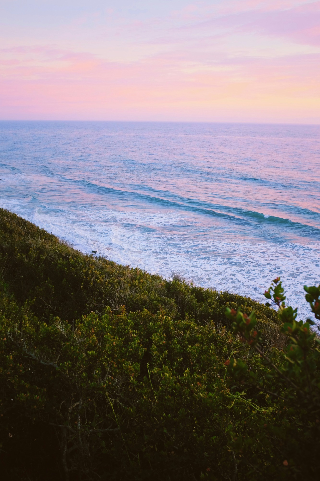 Carpinteria Generators